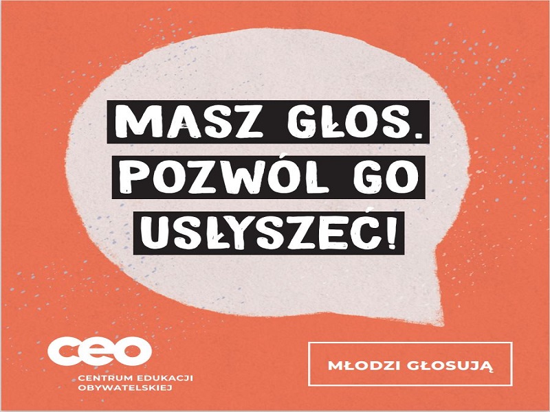 Ikona do artykułu: Program "Młodzi głosują"